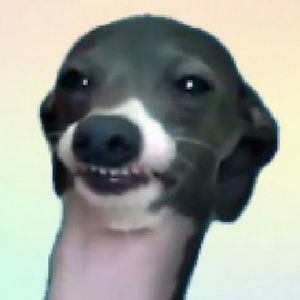 Meet your Posher, Kayna